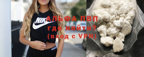 СК Пересвет