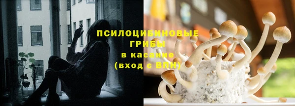 спиды Переславль-Залесский