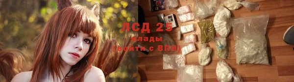 СК Пересвет