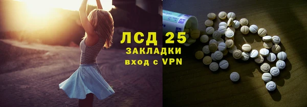 СК Пересвет