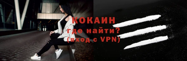 СК Пересвет