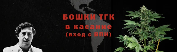 СК Пересвет