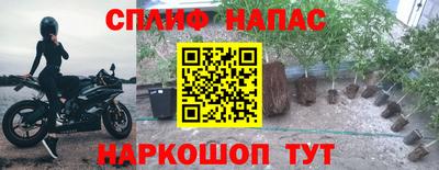 эйфоретик Беслан