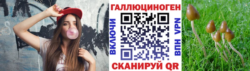 Псилоцибиновые грибы мицелий Шарыпово