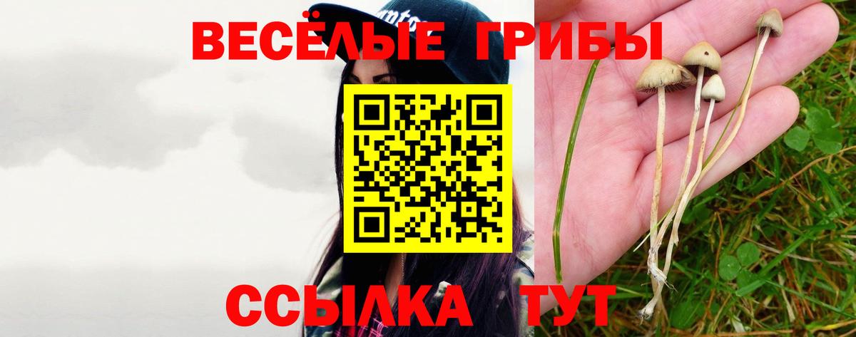Псилоцибиновые грибы MAGIC MUSHROOMS  Галлюциногенные грибы ЛСД  магазин продажи   Вход с VPN  Шарыпово 